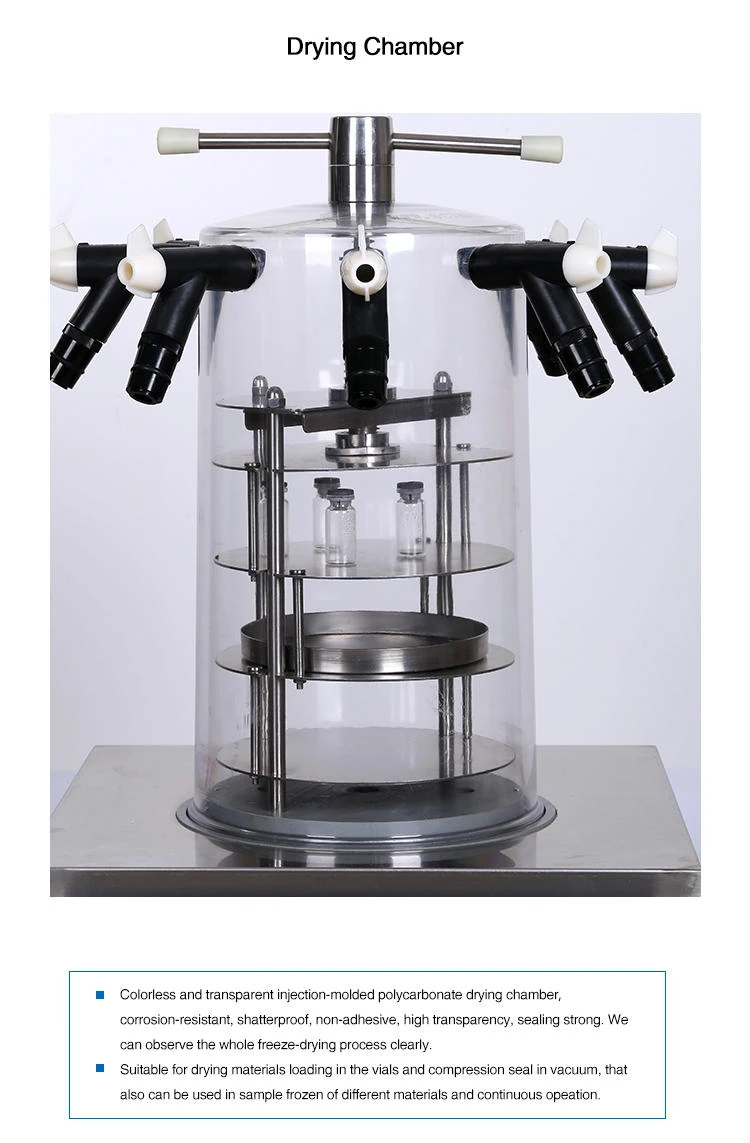 xiangqing4.jpg freeze dryer cheap