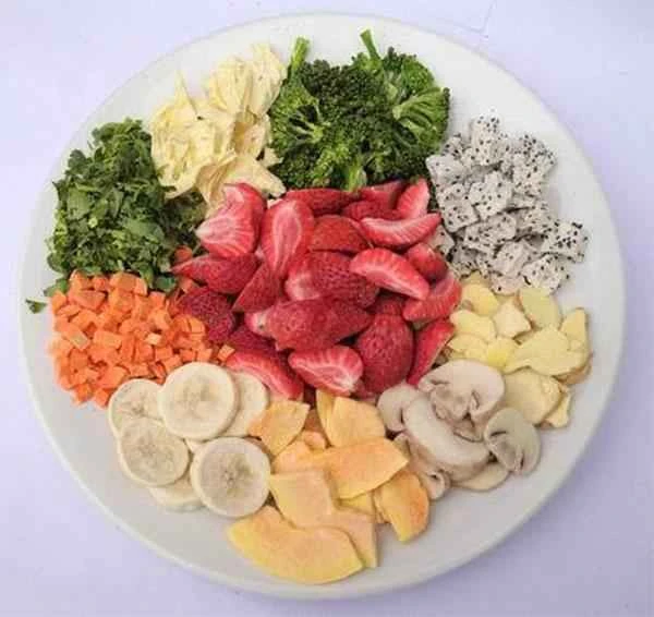 freeze dryer vs dehydrator