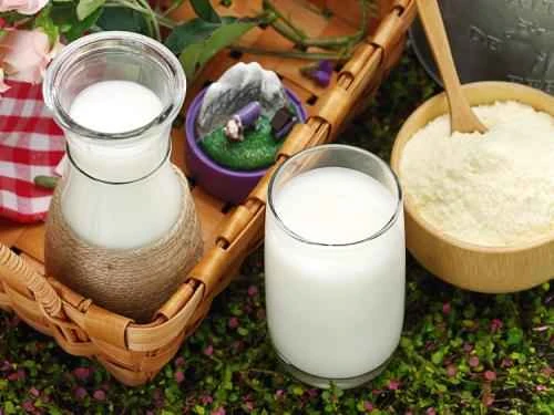 Spray Dryer in milk industry