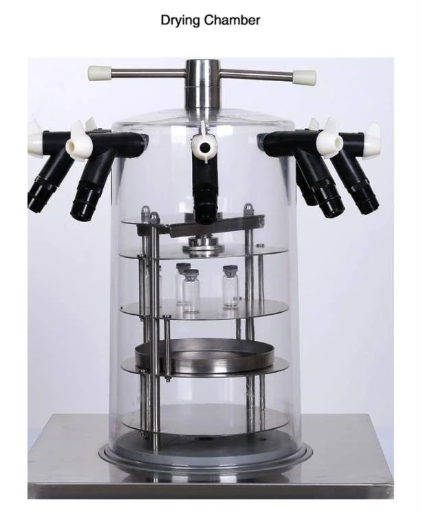 freeze dryer for food