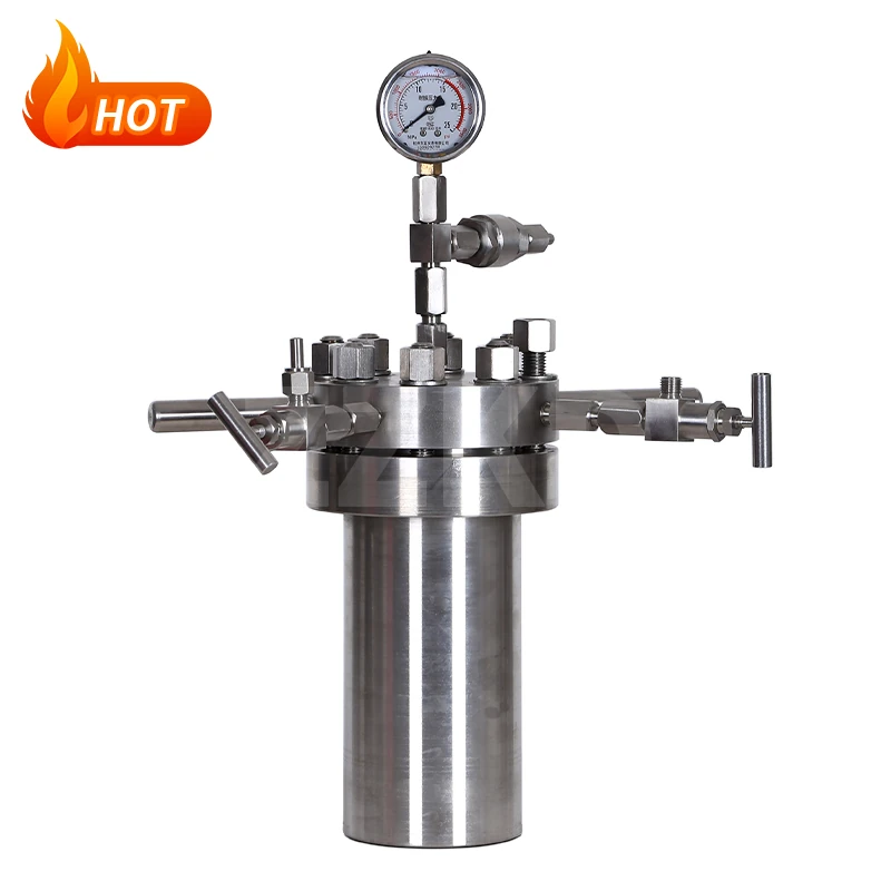 High Pressure Stainless Steel Reactor