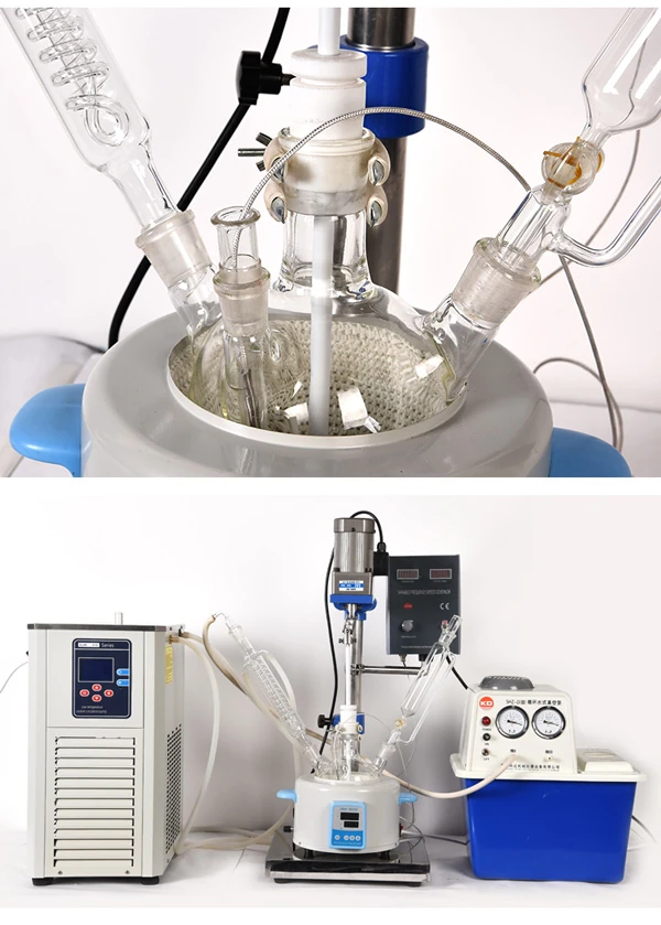 pilot plant glass reactor