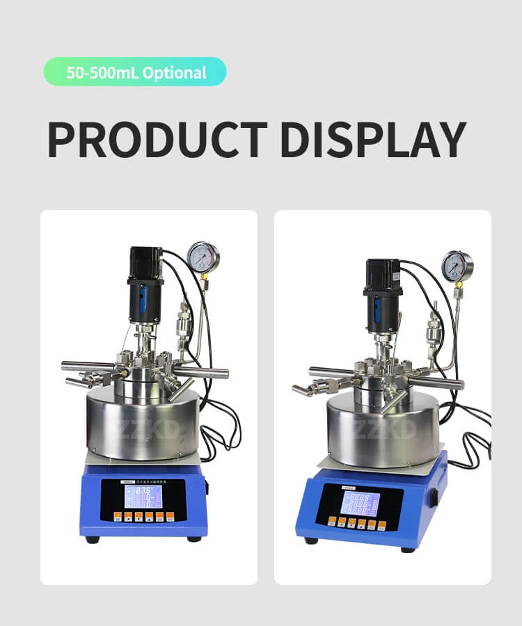 High Pressure Reactor Vessel: Revolutionizing Chemical and Pharmaceutical Processes