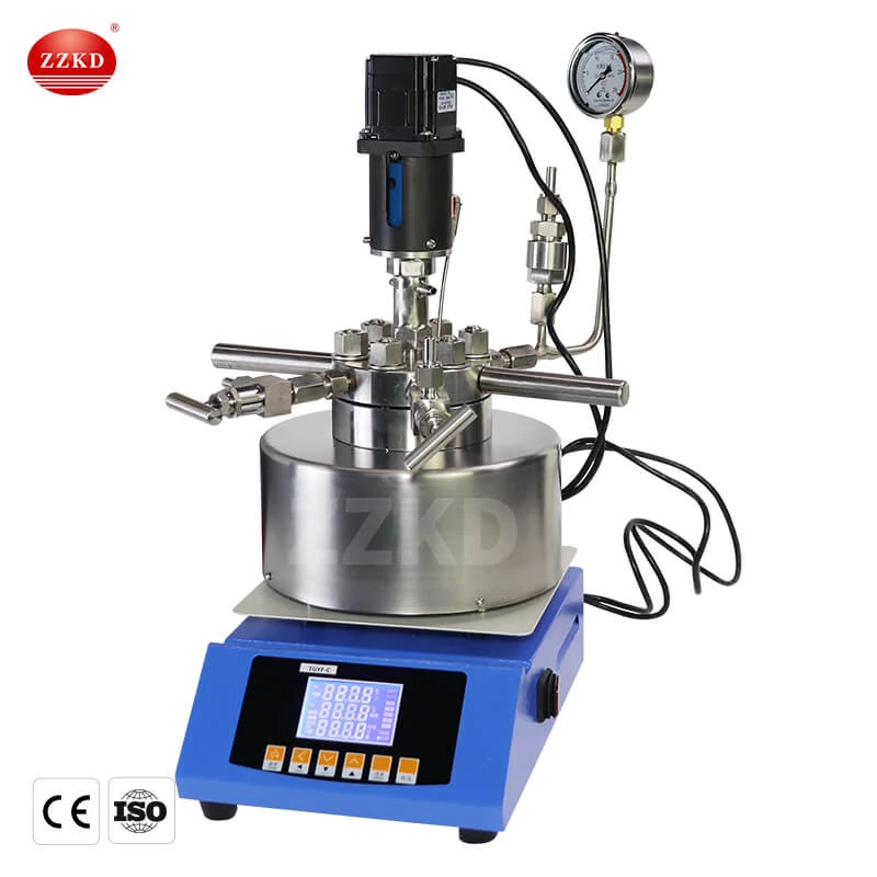High Pressure Batch Reactor: Advancing Laboratory Processes