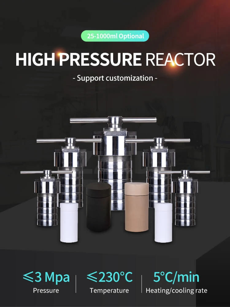 Unveiling the Future of Chemical Synthesis: The High Pressure Teflon Reactor